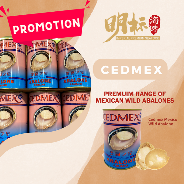 [YEAR END BIG SALE] CEDMEX Mexico Abalone 2/3pcs 454G 