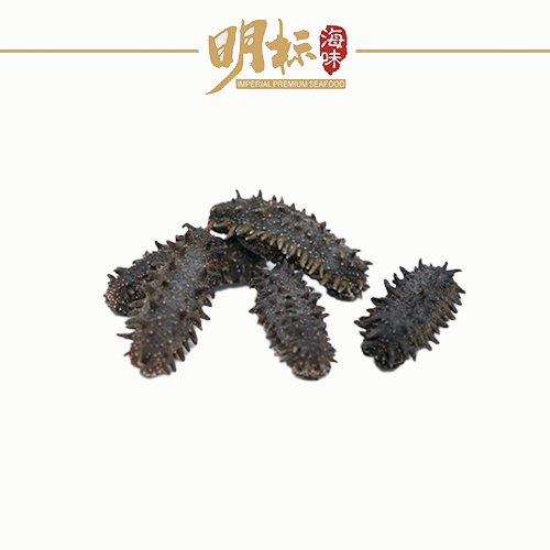 IMPERIAL Premium Dried Japan Prickly Sea Cucumber/刺参
