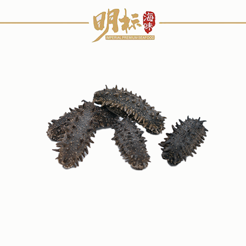 IMPERIAL Premium Dried Japan Prickly Sea Cucumber/刺参 Imperial Premium