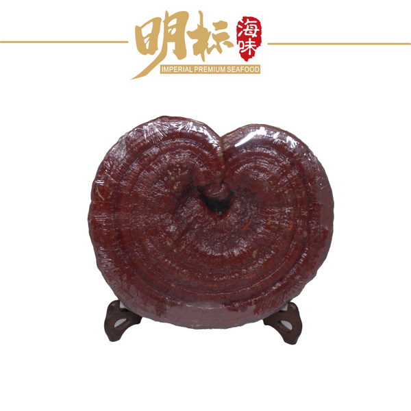 IMPERIAL Premium Ganoderma Lucidum/ling zhi 灵芝