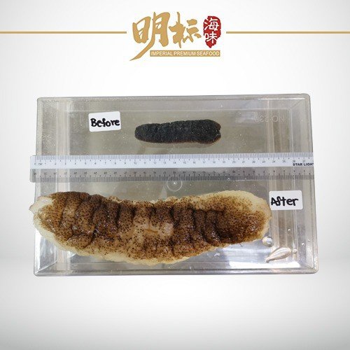 IMPERIAL Premium (Ready to eat) Bald Head Sea Cucumber 1KG